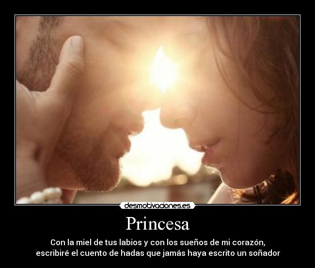 carteles princesa desmotivaciones