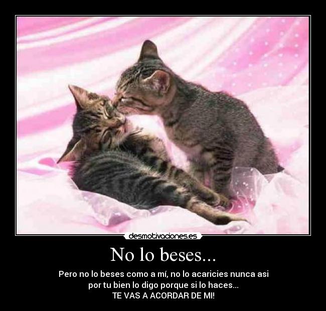 No lo beses... -
