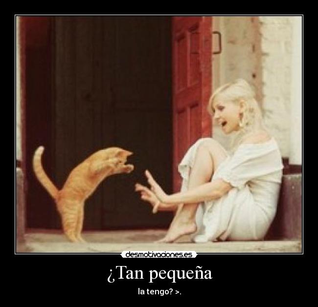¿Tan pequeña - la tengo? >.