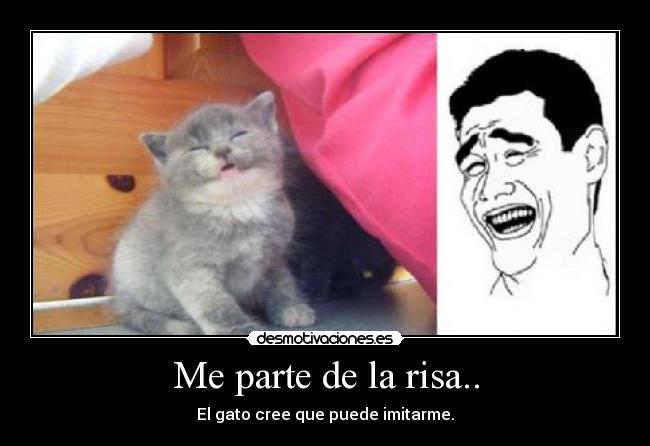 Me parte de la risa.. - El gato cree que puede imitarme.