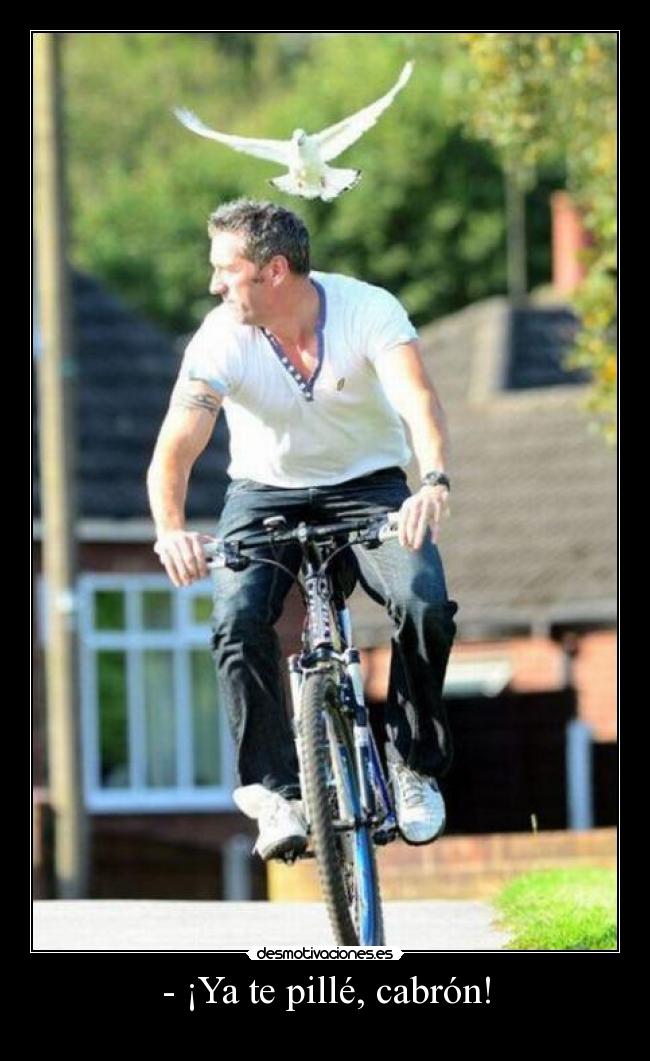 carteles elclanviral gatastrofe desmotivaciones