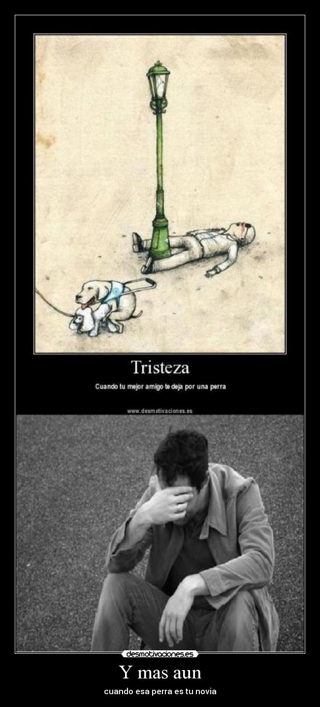 carteles mas aun desmotivaciones