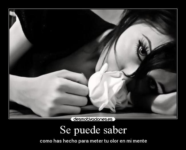 Se puede saber -