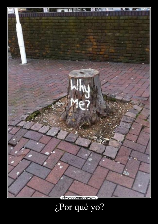 ¿Por qué yo? -