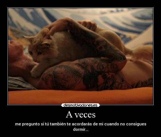 carteles veces dormir acordarseentodoslossentidoslol paramicapullofavoritodavidlol desmotivaciones