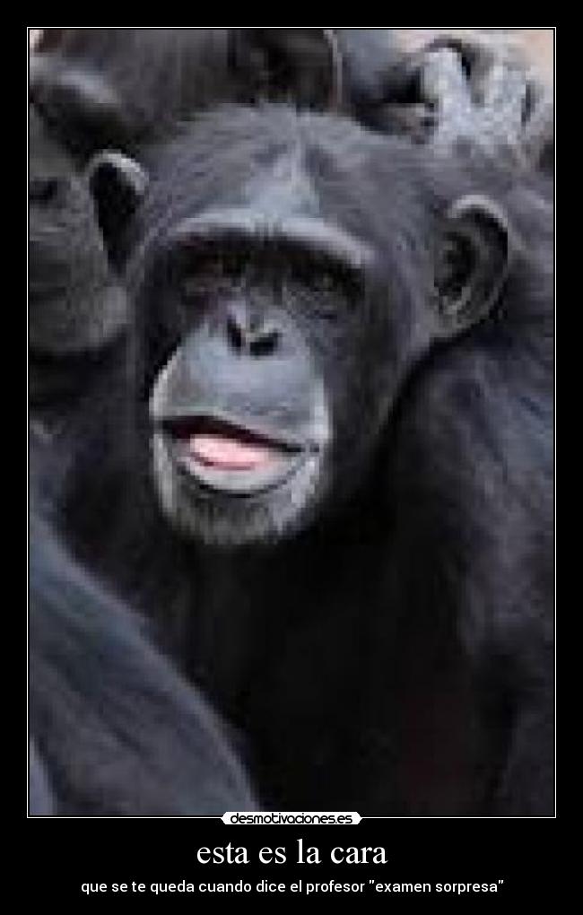 esta es la cara - que se te queda cuando dice el profesor examen sorpresa