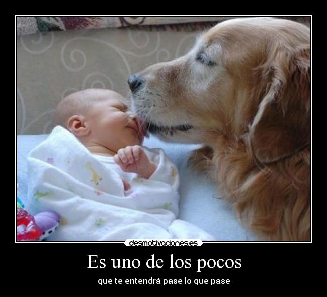 Es uno de los pocos -