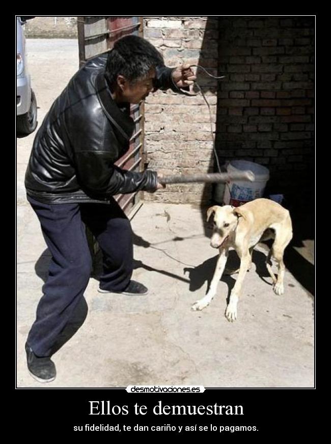 Ellos te demuestran -