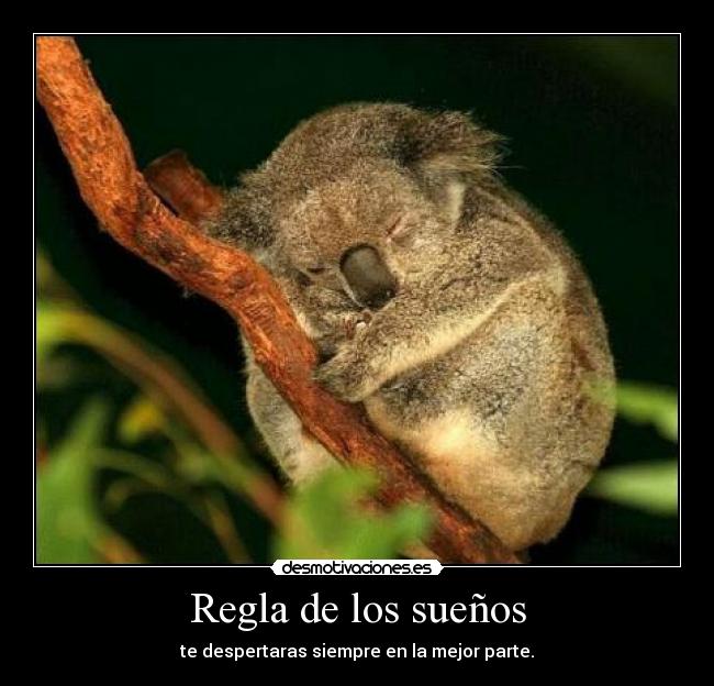 carteles suenos reglas ronquido desmotivaciones