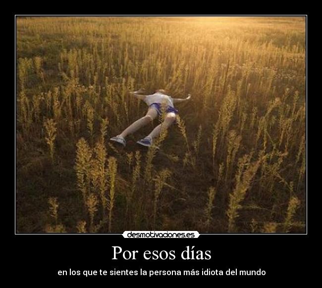 Por esos días - en los que te sientes la persona más idiota del mundo