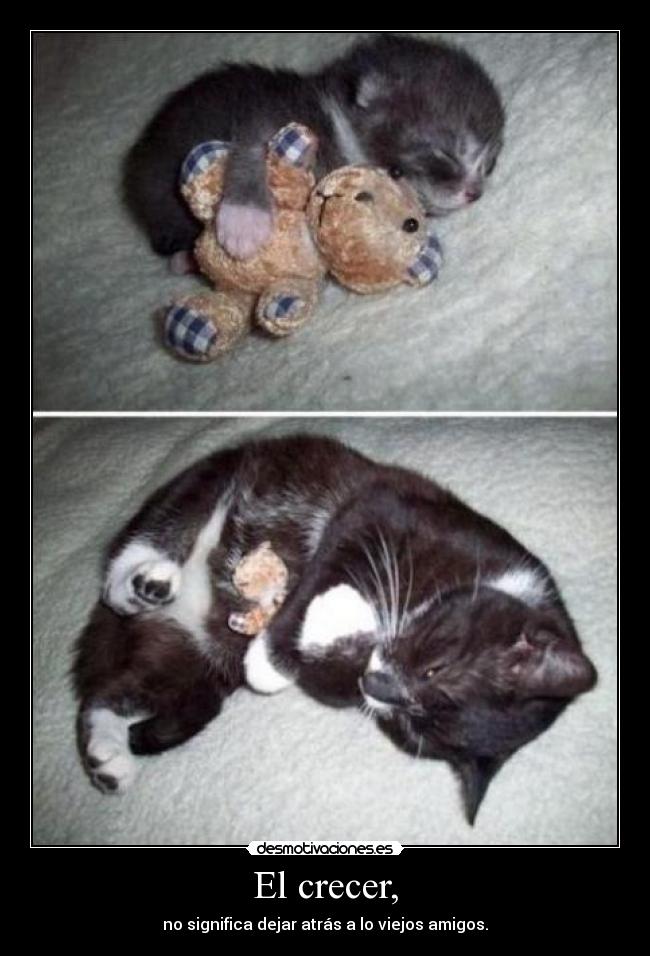 carteles crecer desmotivaciones