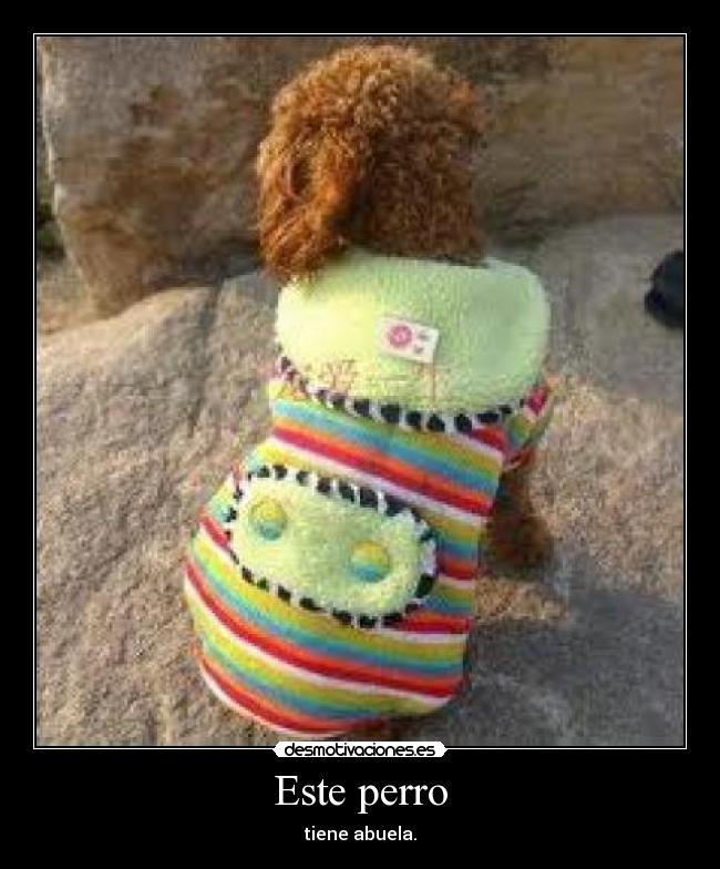 Este perro - tiene abuela.
