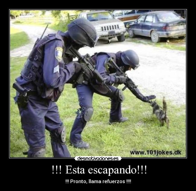 !!! Esta escapando!!! - 