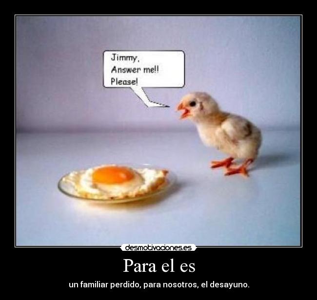 carteles pollito desmotivaciones