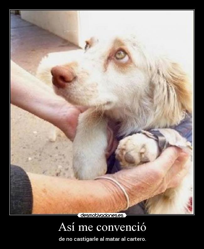 Así me convenció - de no castigarle al matar al cartero.