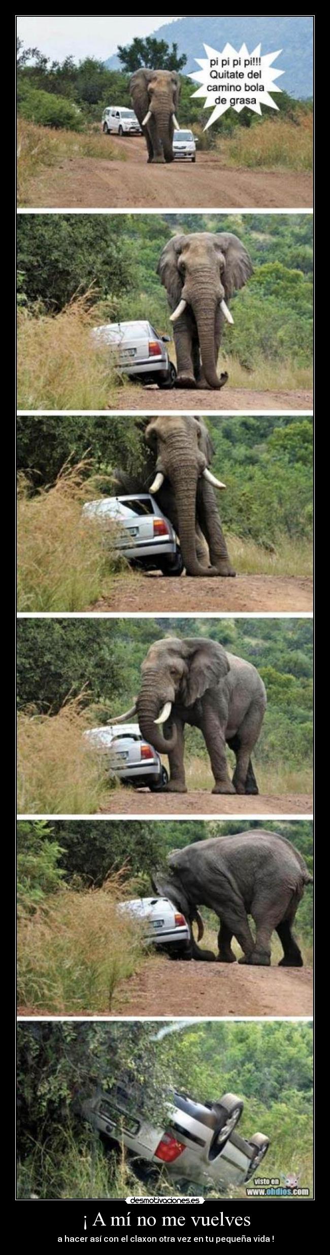 ¡ A mí no me vuelves -