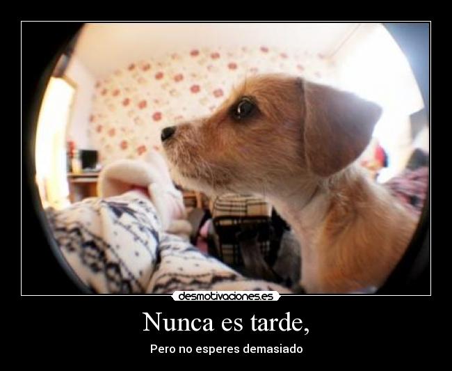 Nunca es tarde, - 