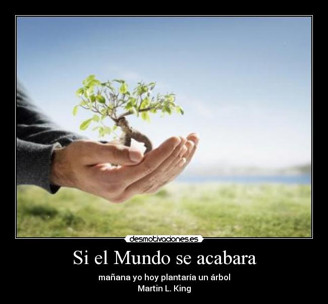 Si el Mundo se acabara - mañana yo hoy plantaría un árbol
Martin L. King