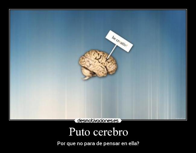 Puto cerebro -