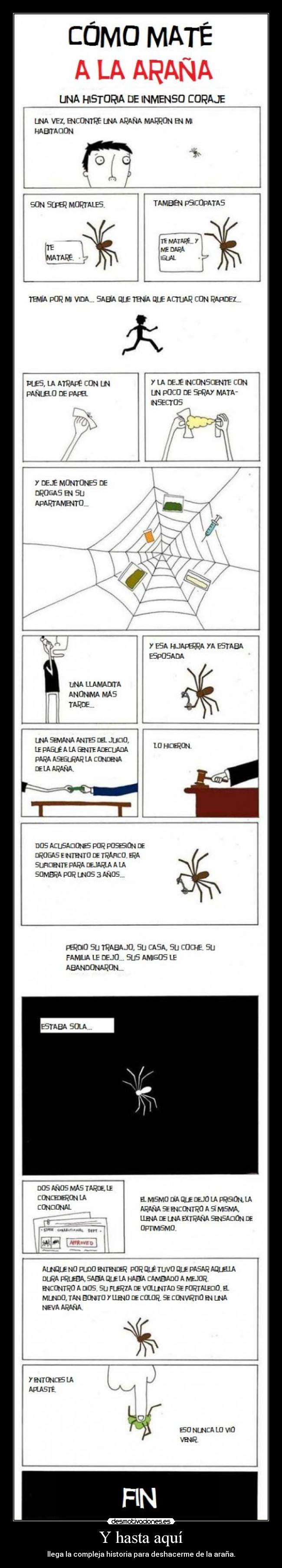 Y hasta aquí - llega la compleja historia para deshacerme de la araña.