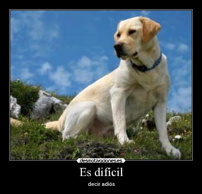 Es difícil -