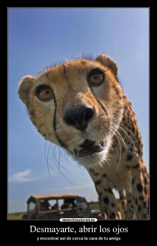 Desmayarte, abrir los ojos - y encontrar así de cerca la cara de tu amigo