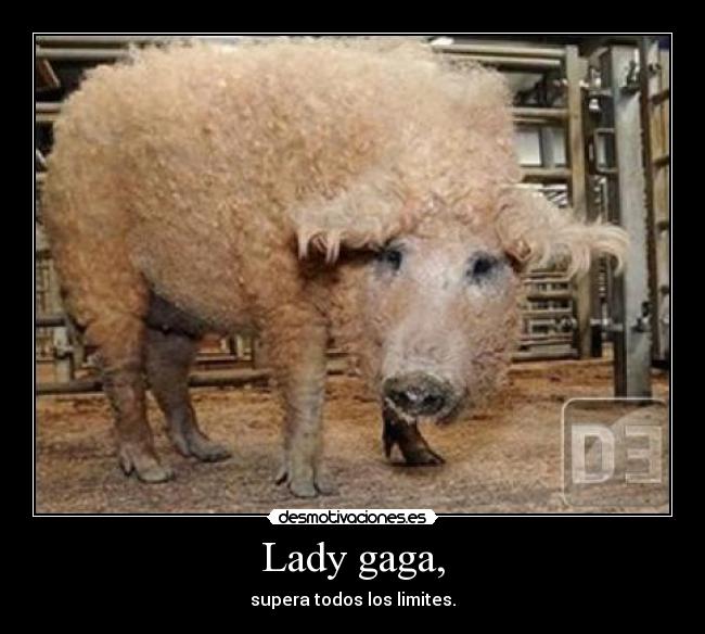 Lady gaga, - 