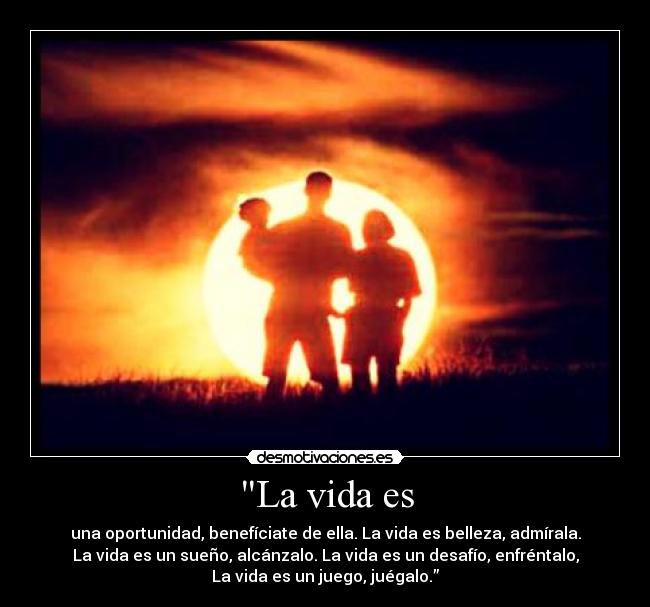 La vida es - 