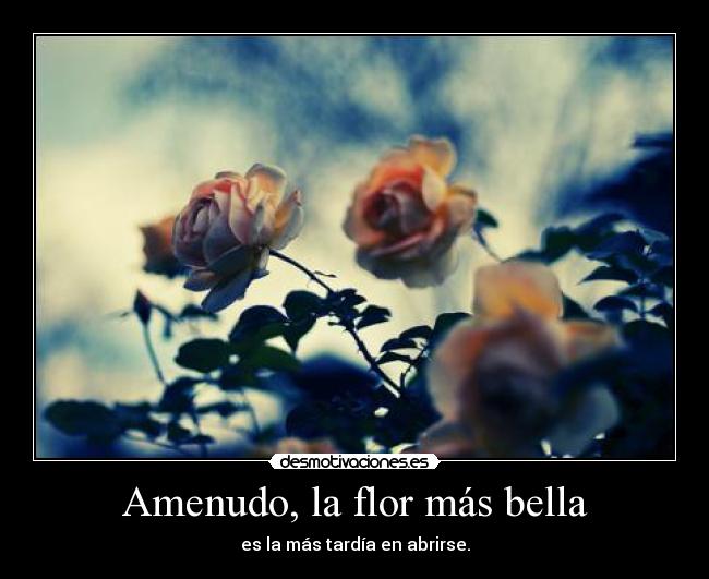 Amenudo, la flor más bella - es la más tardía en abrirse.