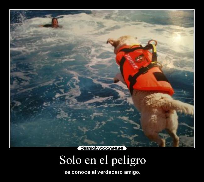 Solo en el peligro - se conoce al verdadero amigo.