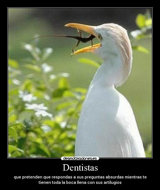 Dentistas -