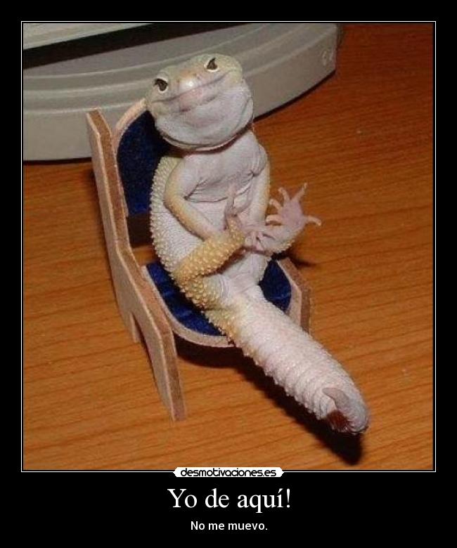 Yo de aquí! - No me muevo.
