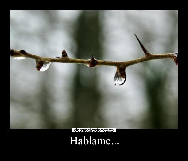 Hablame... - 