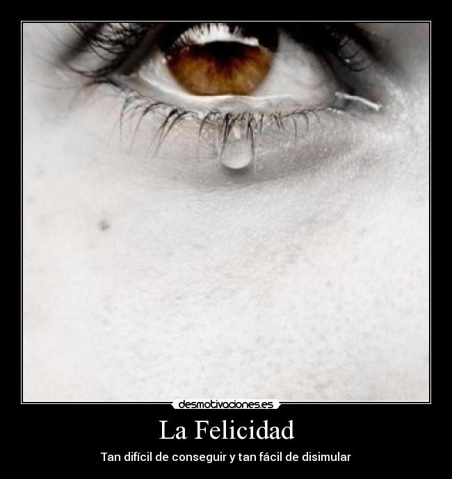 carteles felicidad felicidad desmotivaciones