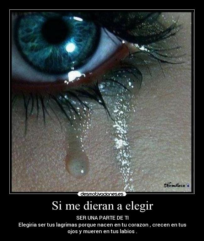 Si me dieran a elegir - SER UNA PARTE DE TI
Elegiria ser tus lagrimas porque nacen en tu corazon , crecen en tus
ojos y mueren en tus labios .