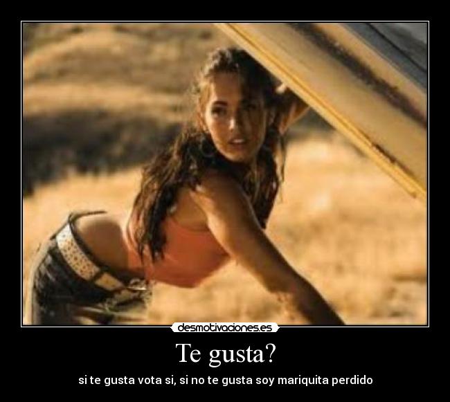 Te gusta? - 