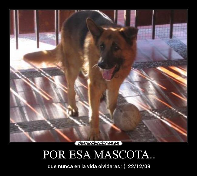 POR ESA MASCOTA.. -