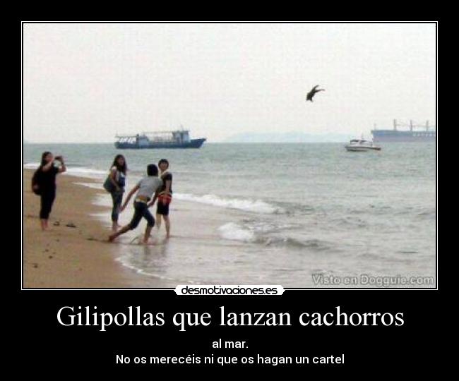 Gilipollas que lanzan cachorros - 