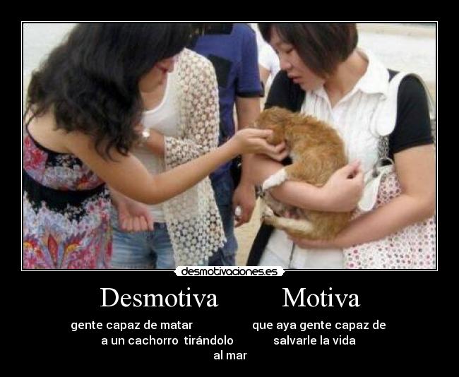 carteles desmotiva motiva desmotivaciones