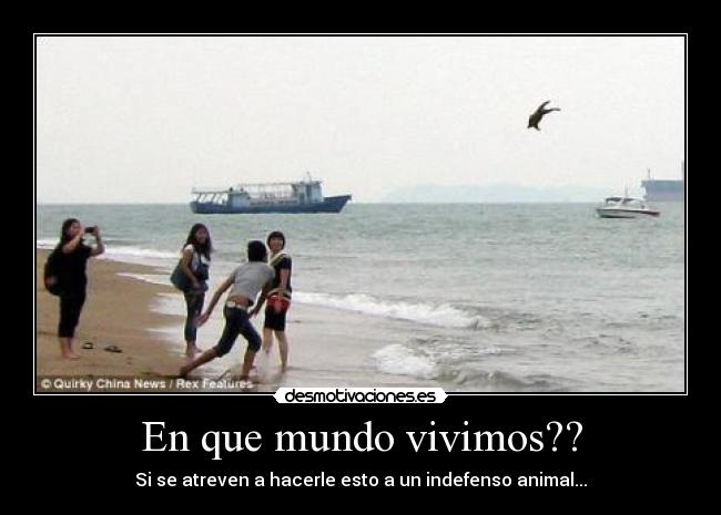 MUNDO DE PUTA mundo de puta: