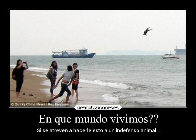 En que mundo vivimos?? - Si se atreven a hacerle esto a un indefenso animal...