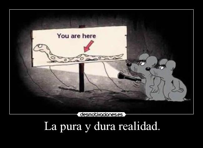 La pura y dura realidad. -