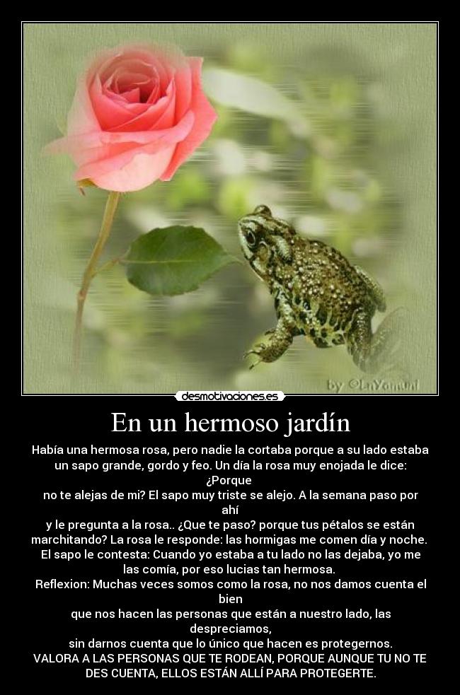 En un hermoso jardín - Había una hermosa rosa, pero nadie la cortaba porque a su lado estaba
un sapo grande, gordo y feo. Un día la rosa muy enojada le dice:
¿Porque 
no te alejas de mi? El sapo muy triste se alejo. A la semana paso por
ahí
y le pregunta a la rosa.. ¿Que te paso? porque tus pétalos se están
marchitando? La rosa le responde: las hormigas me comen día y noche. 
El sapo le contesta: Cuando yo estaba a tu lado no las dejaba, yo me
las comía, por eso lucias tan hermosa. 
Reflexion: Muchas veces somos como la rosa, no nos damos cuenta el
bien
que nos hacen las personas que están a nuestro lado, las
despreciamos,
sin darnos cuenta que lo único que hacen es protegernos.
VALORA A LAS PERSONAS QUE TE RODEAN, PORQUE AUNQUE TU NO TE
DES CUENTA, ELLOS ESTÁN ALLÍ PARA PROTEGERTE.