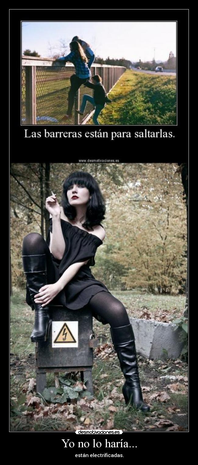 Yo no lo haría... - están electrificadas.