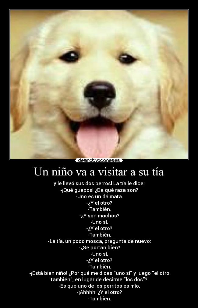 Un niño va a visitar a su tía - 