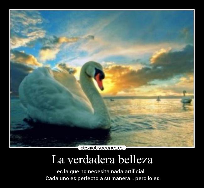 La verdadera belleza - es la que no necesita nada artificial...
Cada uno es perfecto a su manera... pero lo es