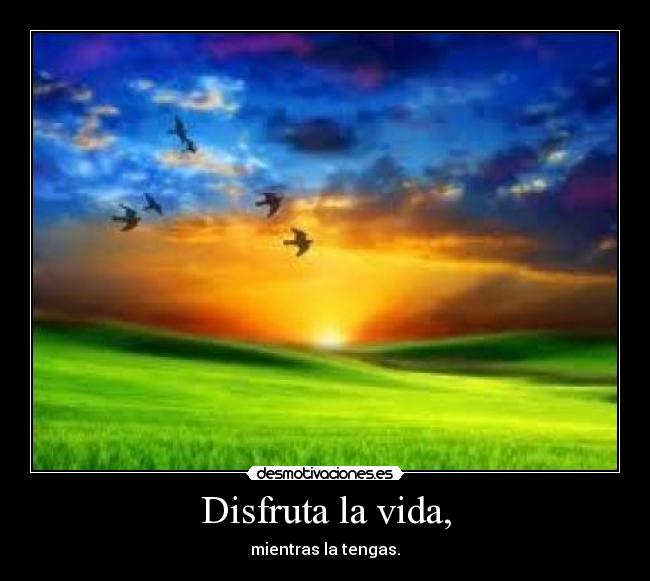 carteles vida vida pajaros puesta sol disfruta cono que vida son dos dias desmotivaciones