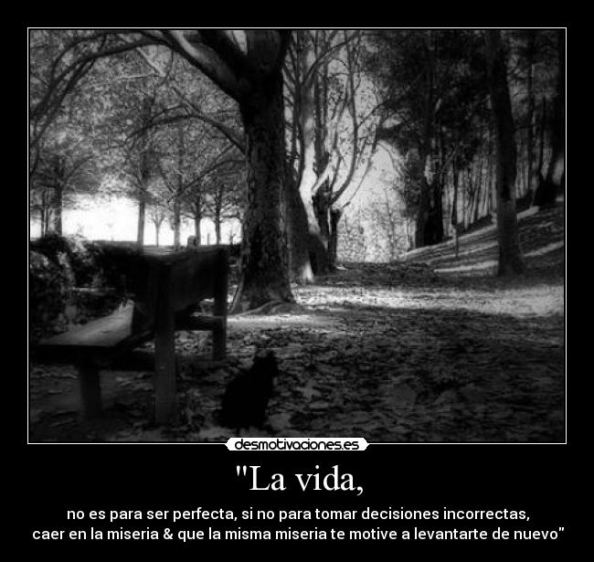 La vida, - no es para ser perfecta, si no para tomar decisiones incorrectas,
caer en la miseria & que la misma miseria te motive a levantarte de nuevo