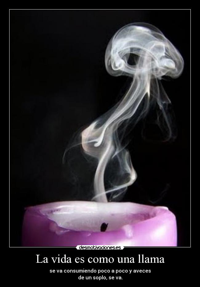 La vida es como una llama - se va consumiendo poco a poco y aveces
de un soplo, se va.