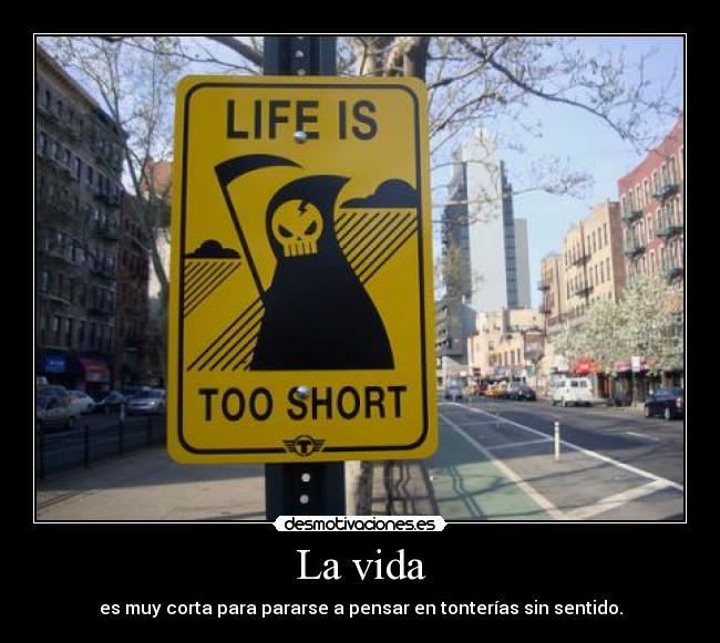 La vida - es muy corta para pararse a pensar en tonterías sin sentido.